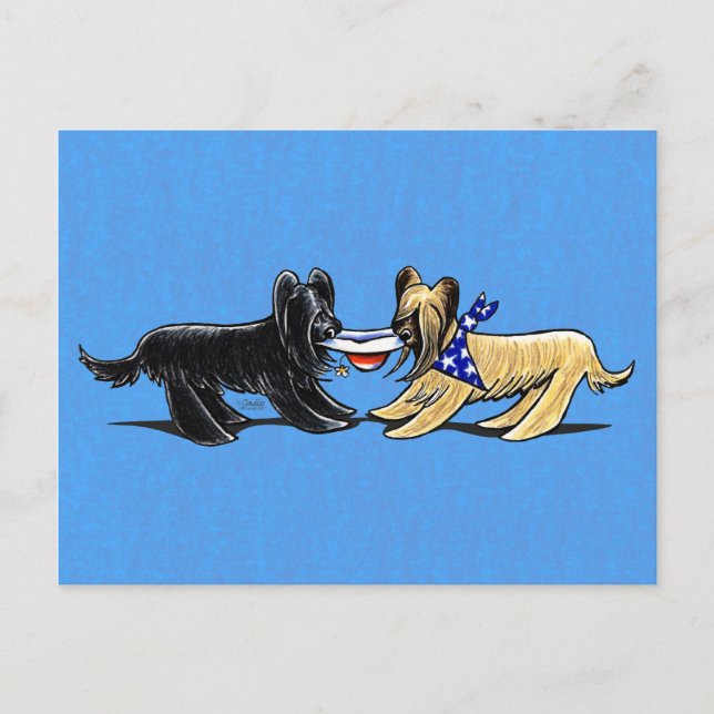 Postal Briard Mad Hatters Off-Leash Art™ (Anverso)