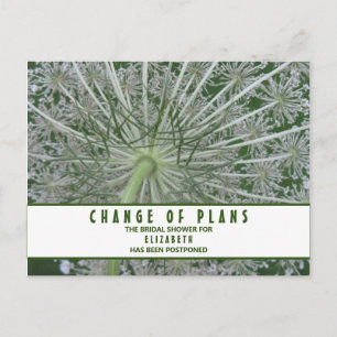 Postal Bridal Shower Change of Plans Queen Anne's Lace