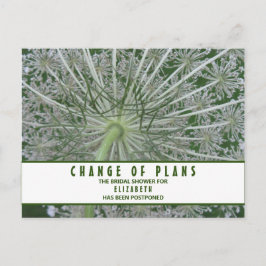 Postal Bridal Shower Change of Plans Queen Anne's Lace