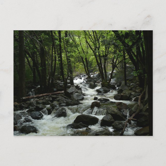 Postal Bridalveil Creek en el Parque Nacional Yosemite (Anverso)