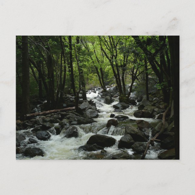 Postal Bridalveil Creek en el Parque Nacional Yosemite (Anverso)
