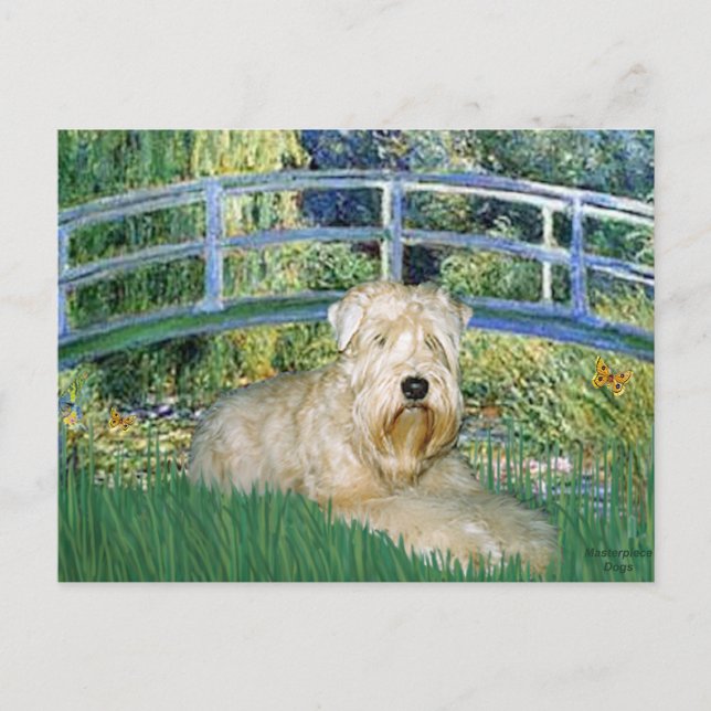 Postal Bridge-Wheaten Terrier 1 (Anverso)