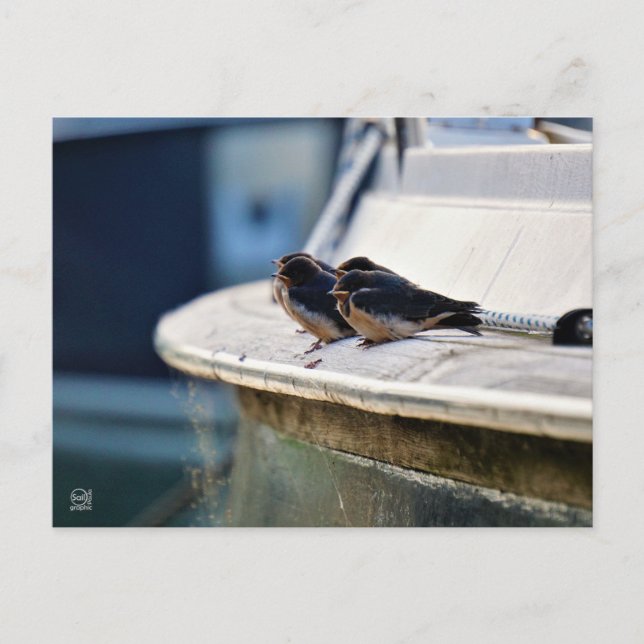 Postal Briefkaart (Anverso)