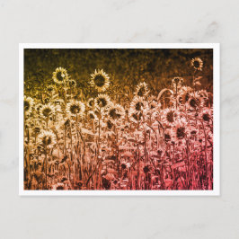 Postal "Brigada de Girasoles"