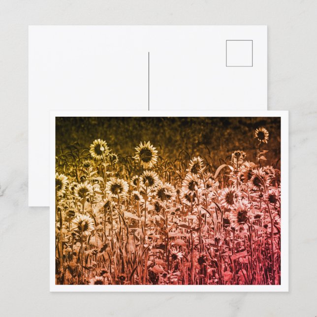 Postal "Brigada de Girasoles"  (Anverso / Reverso)