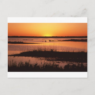 Postal Brigantine NWR at Sunset.jpg