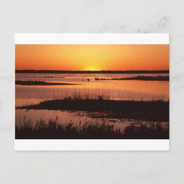 Postal Brigantine NWR at Sunset.jpg (Anverso)