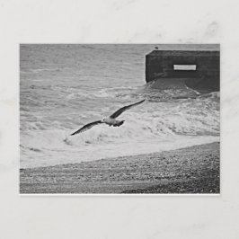 Postal Brighton