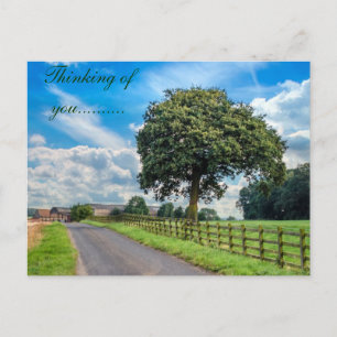 Postal brillante del árbol