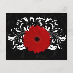 Postal Brillante Red Gerbera Daisy sobre negro