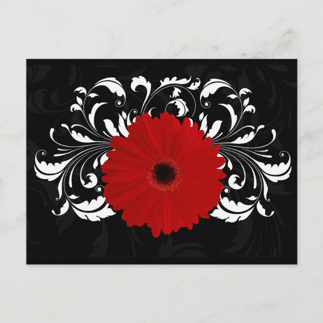 Postal Brillante Red Gerbera Daisy sobre negro (Anverso)