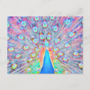 Postal Brillante y colorido diseño espiritual *Peacock*