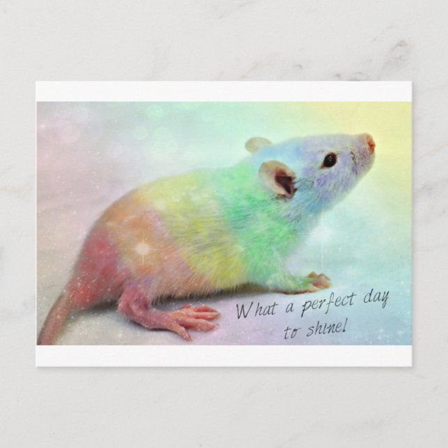 Postal ¡Brillo encendido! (Anverso)