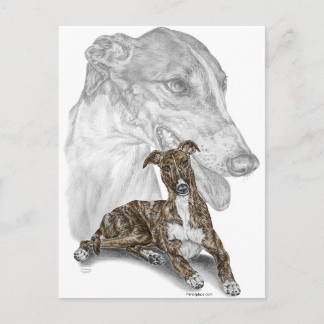 Postal Brindle Greyhound Dog Art (Anverso)