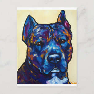 Postal Brindle Pit Bull Cody