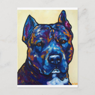 Postal Brindle Pit Bull Cody