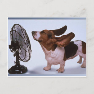 Postal Brisa - Perro y ventilador