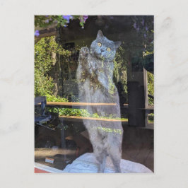 Postal Británico Gato Kitty En La Ventana