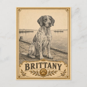 Postal Brittany, Perro Patrimonio Vintage