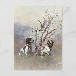 Postal Brittany Spaniel