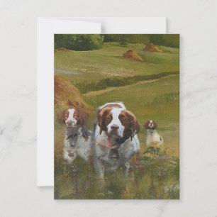 Postal Brittany Spaniel
