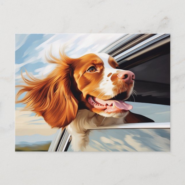 Postal Brittany spaniel en la ventana del coche (Anverso)