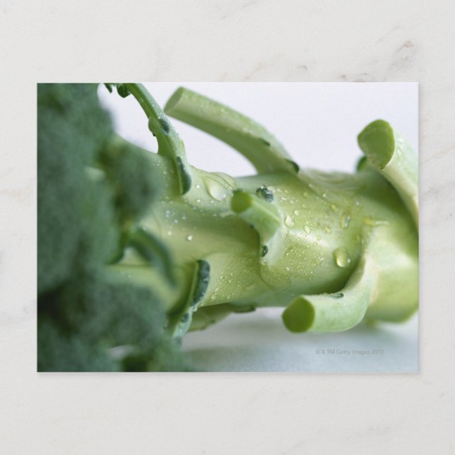 Postal Broccoli (Anverso)