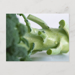 Postal Broccoli
