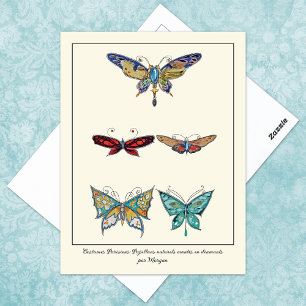 Postal Broches ornamentales de mariposa ceñida