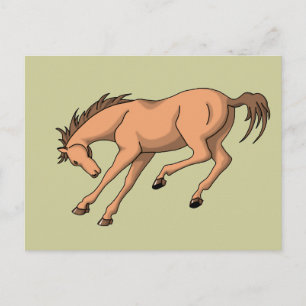 Postal Bronco