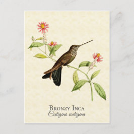 Postal Bronzy Inca Hummingbird Vintage Art