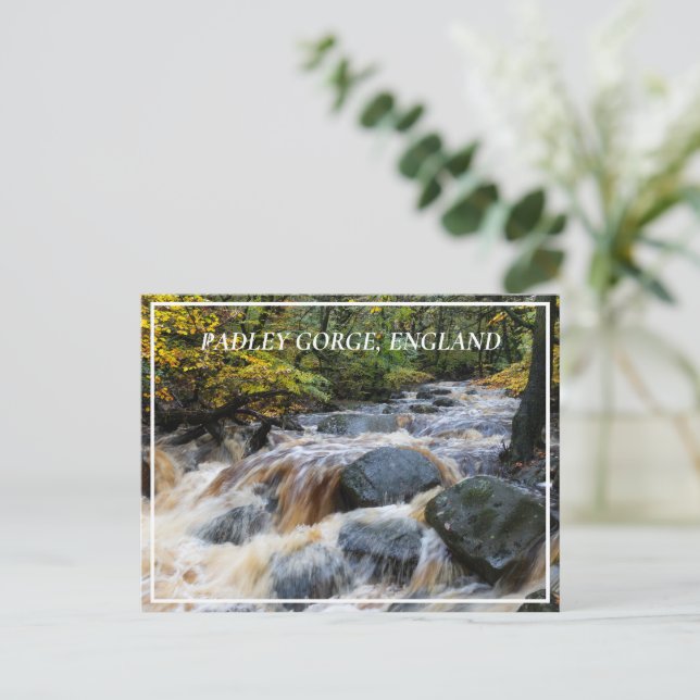 Postal Brook de Basura a plena velocidad, Padley Gorge, R (Anverso de pie)