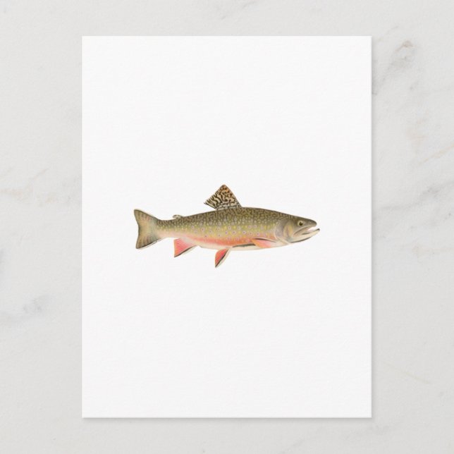 Postal Brook Trout Art (Anverso)
