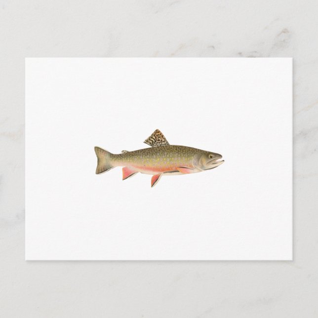 Postal Brook Trout Art (Anverso)