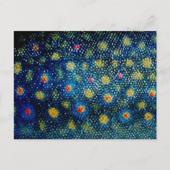 Postal Brook Trout de PatternWear© (Anverso)