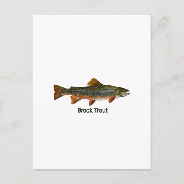 Postal Brook Trout (titulado) (Anverso)