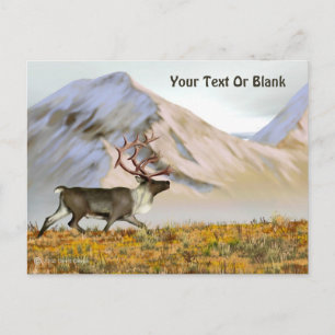 Postal Brooks Range Caribou