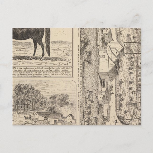 Postal Brookside Dairy Farm (Anverso)