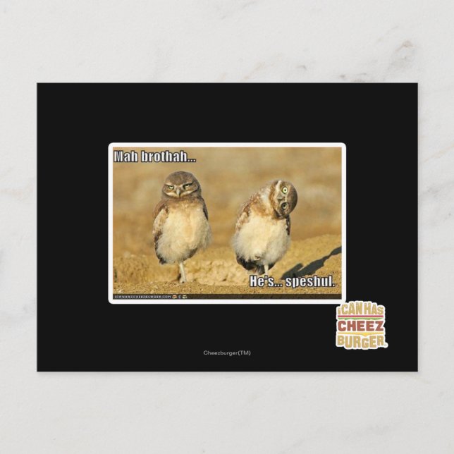 Postal Brothah del Mah (Anverso)