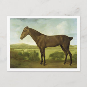Postal Brown Horse in a Hilly Landscape, c.1780-1800 (oil
