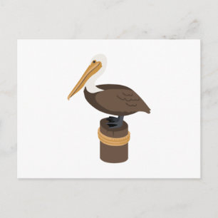 Postal Brown Pelican