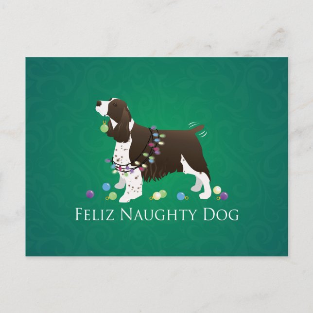 Postal Brown Springer Spaniel Dog Feliz Perro travieso (Anverso)