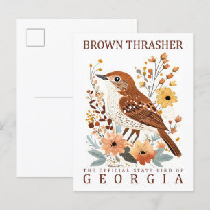 Postal Brown Thrasher Bird of Georgia USA Travel