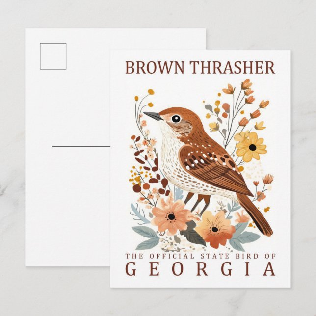 Postal Brown Thrasher Bird of Georgia USA Travel (Anverso / Reverso)