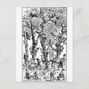 Postal Brownies recogiendo manzanas en huerto