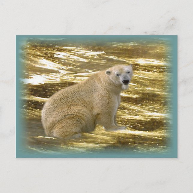 Postal Brrr.....postal (Anverso)