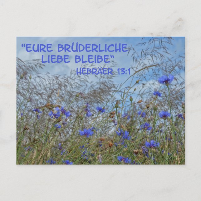 Postal Brüderliche Liebe (Anverso)