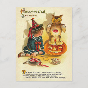 Postal Bruja Búho Jack O Linterna Calabaza