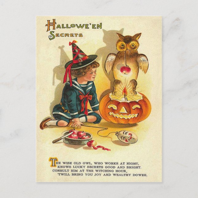Postal Bruja Búho Jack O Linterna Calabaza (Anverso)