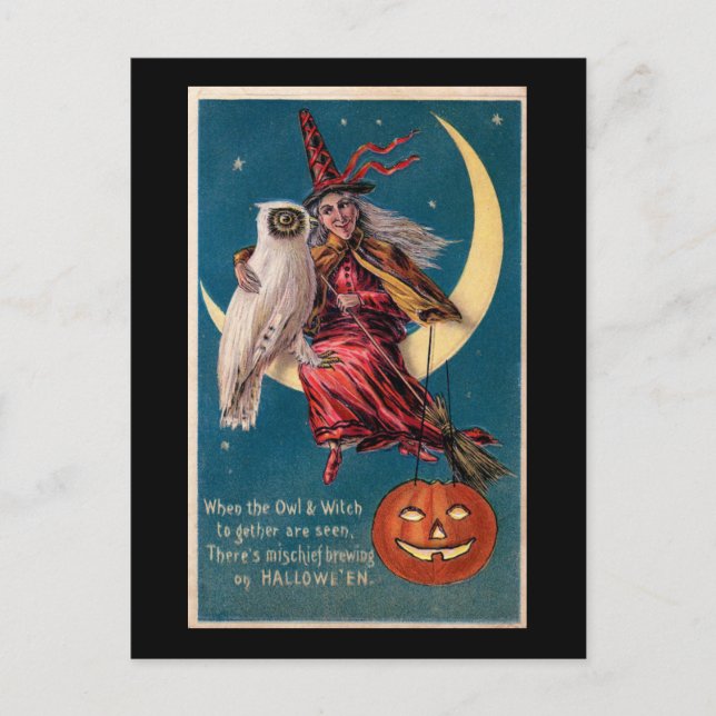 Postal Bruja de Halloween en la luna con lechuza (Anverso)